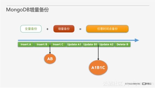 从零开始搭建 MongoDB数据库服务实战指南