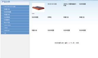 .NET动态分类产品展示 左右布局的实现指南
